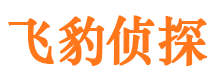 岳塘捉小三公司